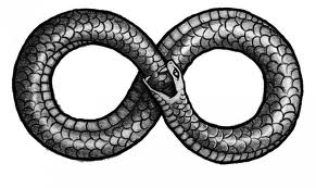 snake infinity