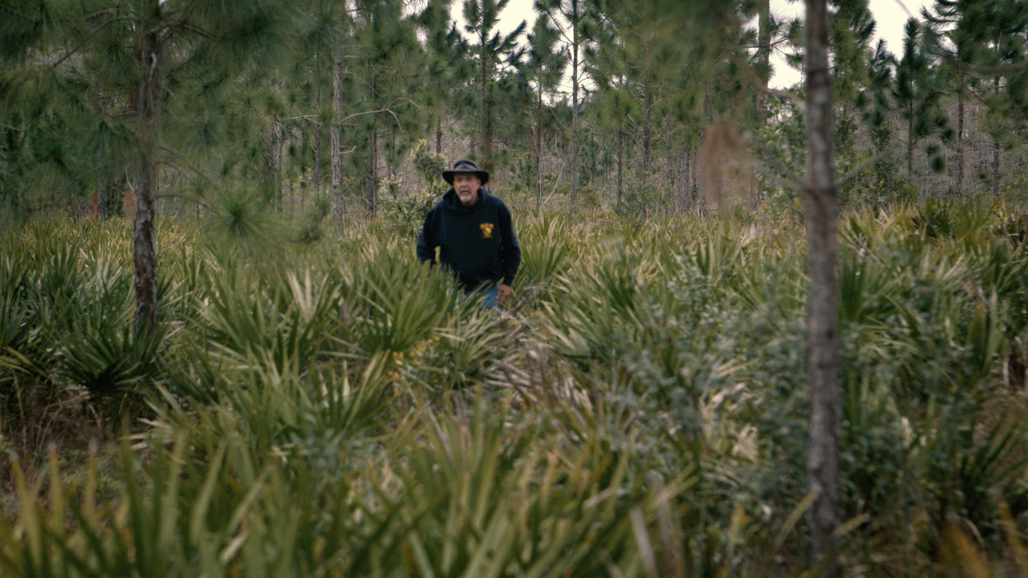 Dave Shealy wanders through the Everglades in this still from 'Swan Song'.