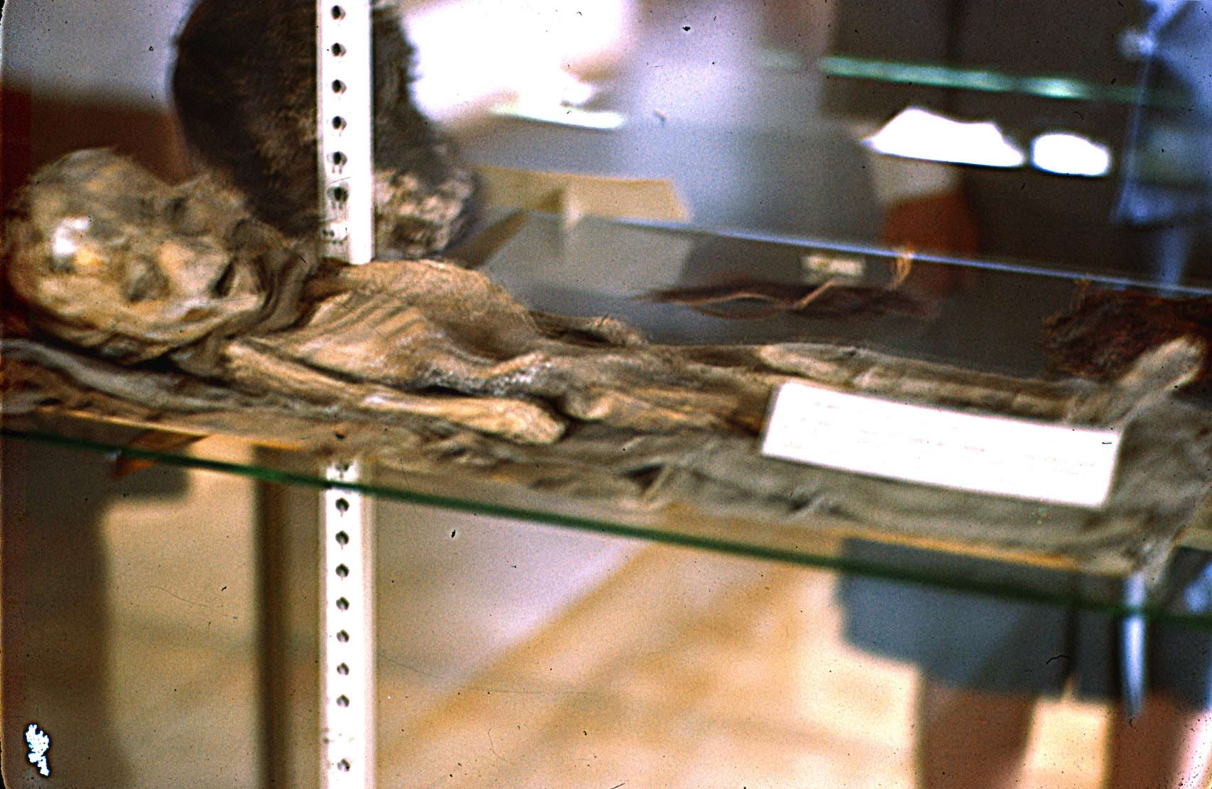 a high resolution photo of the roswell slides alien