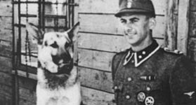 Hitler's Talking Nazi Dogs of WW2 Germany