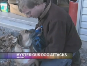 Mysterious animal viciously attacking dogs in Missouri