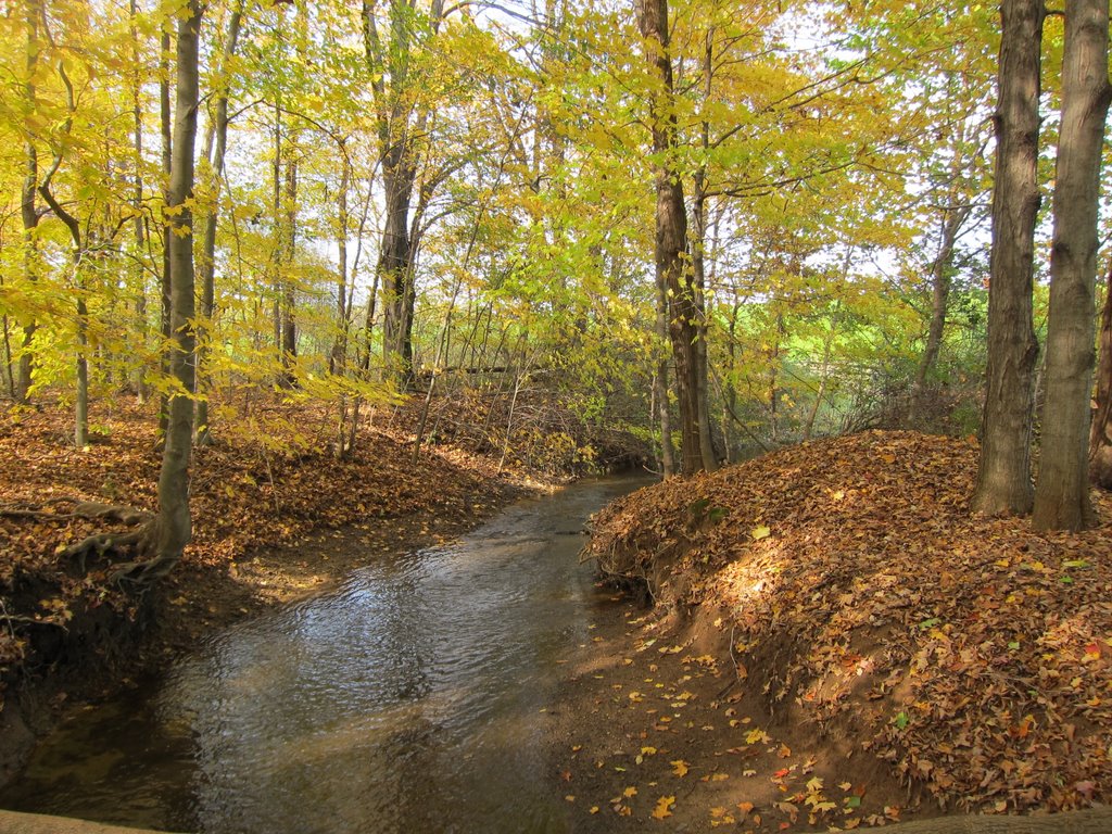 The quiet, unassuming Silver Creek in Autumn. (Seeing Anewhttp://seeinganew.blogspot.com / CC BY-NC-SA 3.0)