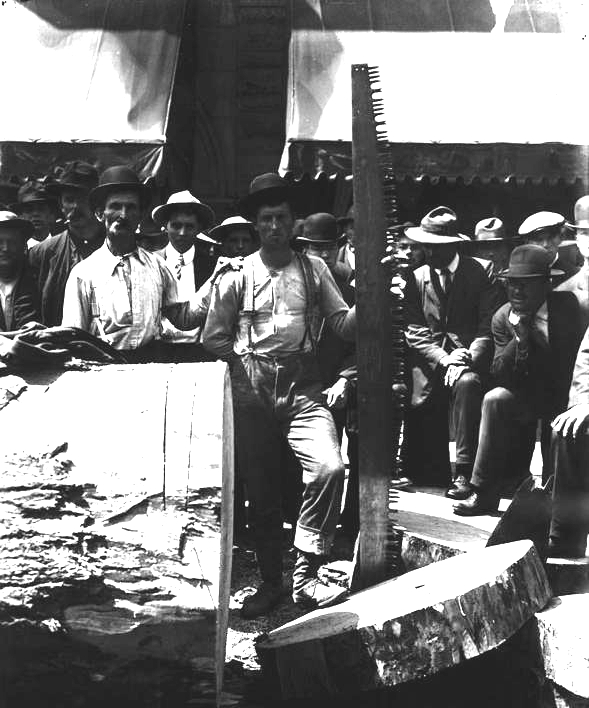 William Gohl (center, left of saw) at a logbucking competition in Aberdeen around 1907. (WSU)