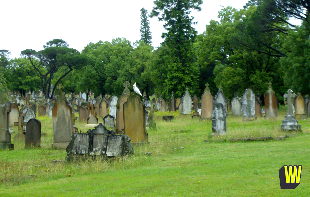 Rookwood truly is a "city of the dead", cockatoos aside. (Summers)