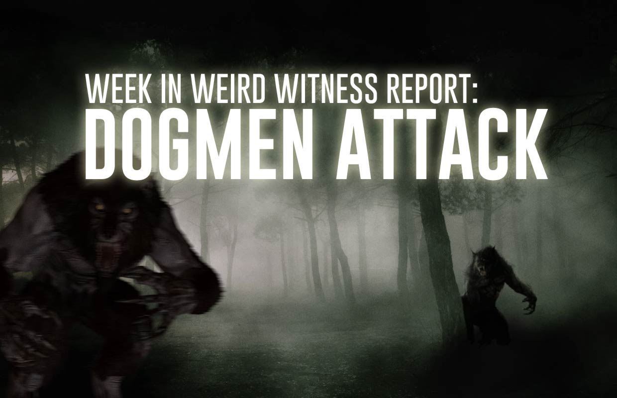 WITNESS-REPORT-DOGMAN-ATTACK